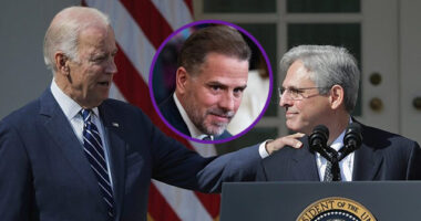 DOJ Responsible for Whistleblower Purge from Hunter's Tax Probe 