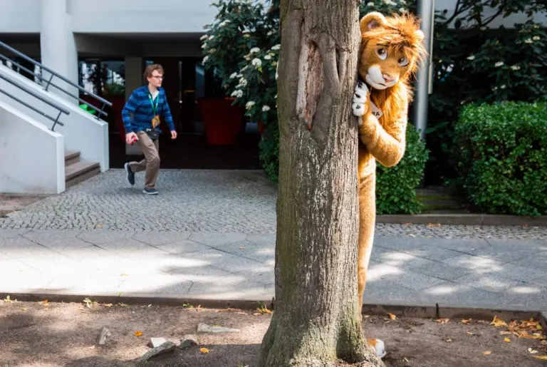 Furries have ‘nothing to do’ with Florida law, senator says