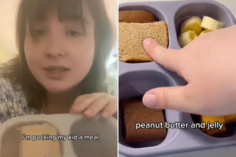 Mom called ‘cheap’ for packing toddler a homemade meal when dining out