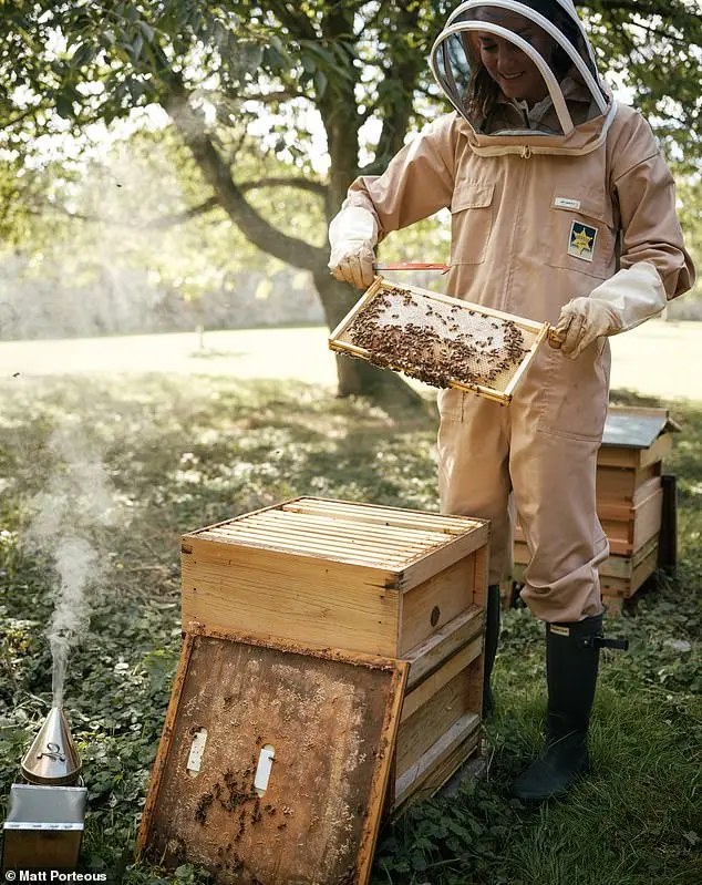 Princess of Wales tends to a beehive in a keeper’s suit in newly shared image for World Bee Day