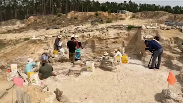 Scientists discover fossils of mammoths, sabretooth cats, rhinos that once roamed Florida