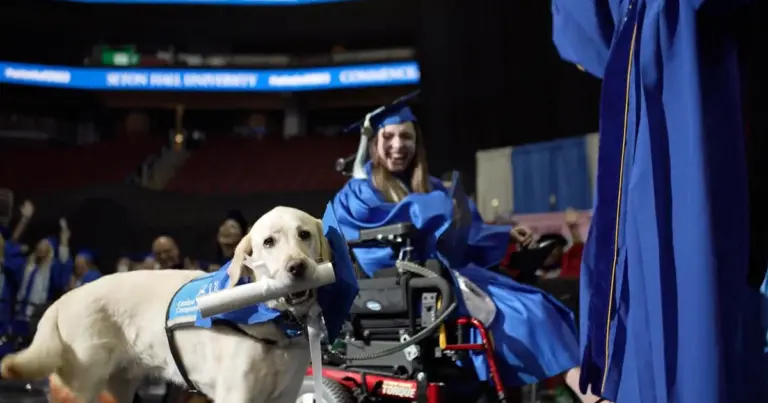 Service dog receives diploma alongside owner at college graduation