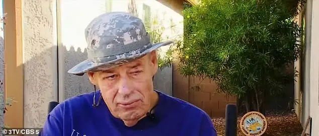 Shocking moment one-legged Arizona man and his dog are attacked by 1,000 killer bees