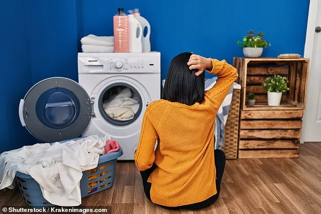 Should you spend £229 or £2,149 on a washing machine?