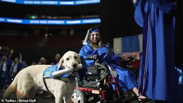 Student’s service dog named Justin receives his very own university diploma