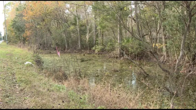 Supreme Court decision weakens federal protections of wetlands