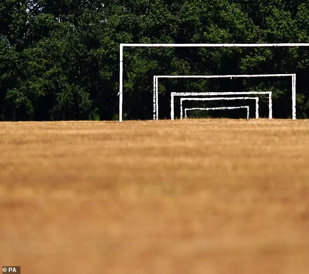 Teenage German footballer, 15, dies after a fight with an opponent