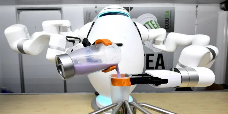 The New Everyday Reality of Service Robots
