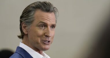 ‘Wake up America’: governor on Target Pride controversy