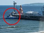 'You've left a hole in our hearts': Family pay tribute to girl, 12, killed near Bournemouth pier