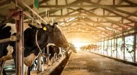 4 Dairy Companies With the Worst Food Quality Practices
