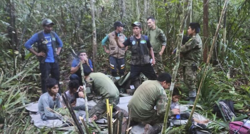 4 children lost in jungle for 40 days after plane crash are found alive