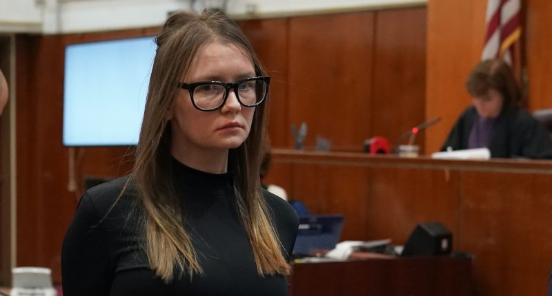 Anna Sorokin cheated lawyer Audrey Thomas out of $152K: Suit