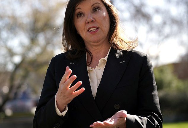 Disposable vapes must be banned and others sold in plain packaging to end the ¿Wild West market¿ in e-cigarettes, the Children¿s Commissioner for England (pictured) has said