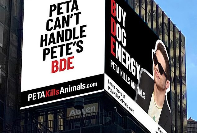 The Center for Organizational Research and Education unveiled its new billboard featuring comedian Pete Davidson using his phrase 'BDE' — a play on words to mean 'Buy a Dog Energy' — in the heart of New York City early Wednesday morning. But it was taken down the next day