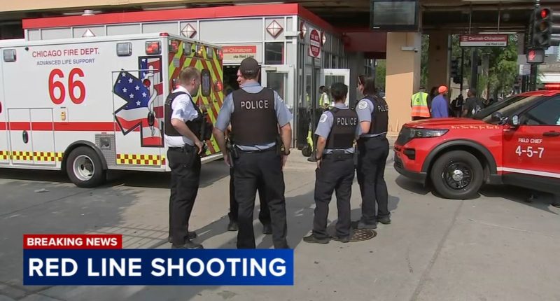 Chinatown, Chicago shooting today: Man shot at Cermak Red Line station, causing CTA delays, Chicago Fire Department says