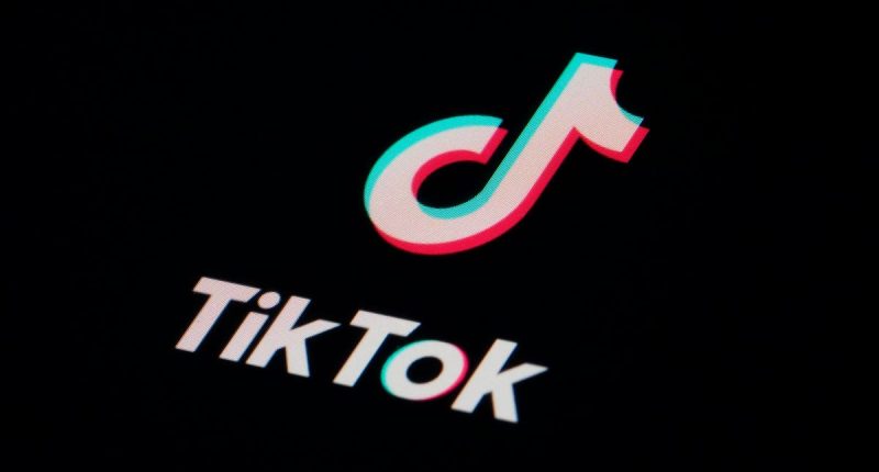 Chinese Communist Party Accessed TikTok Data Of Hong Kong Protesters