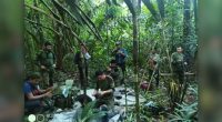 Colombia plane crash: 4 children lost in the Amazon jungle for 40 days found alive, Colombian President Gustavo Petro says