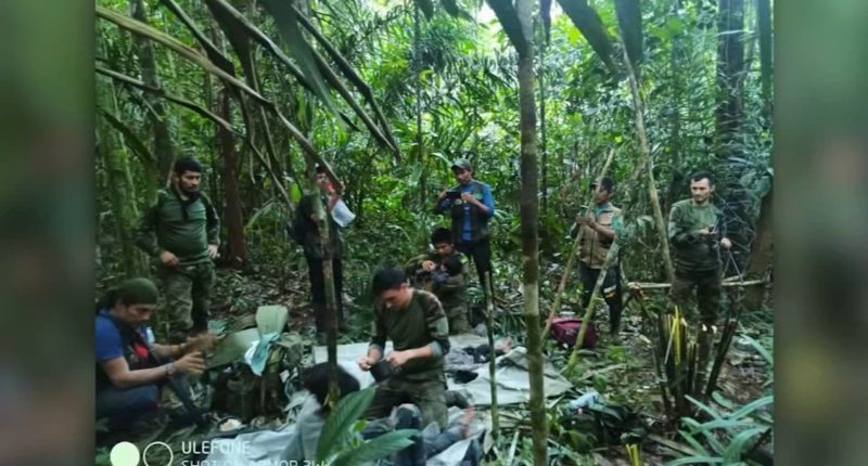 Colombia plane crash: 4 children lost in the Amazon jungle for 40 days found alive, Colombian President Gustavo Petro says
