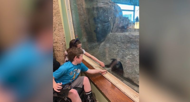 Community Heroes: Local Make-A-Wish team brings hope to kids who face serious medical challenges | WJHL