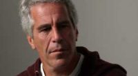 Did Jeffrey Epstein go mad before suicide?