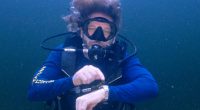 'Dr. Deep' resurfaces after a record 100 days living underwater in Florida