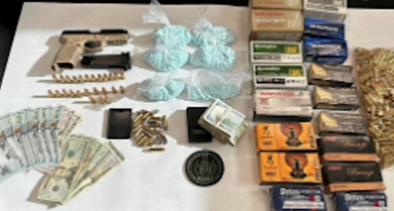 Drug bust: Mundelein, IL man Oscar Pena arrested after guns, cocaine, laced fentanyl pills found, Lake County, IL police say