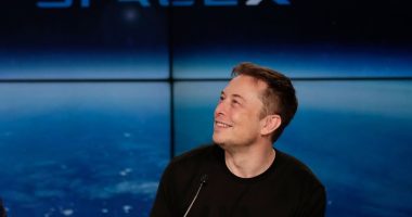 Elon Has a Litte Fun With CNN After They Attack Him and 'What Is a Woman' Film