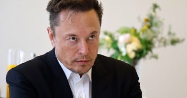 Twitter owner Elon Musk, pictured in May 2023, weighed in on the indictment of former President Donald Trump, warning it risks eroding public trust in the legal system