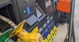 Florida gas prices declined 5 cents last week. The state average on Sunday was $3.36 per gallon. That's the lowest daily average price since late April, according to data released by AAA on Monday.
