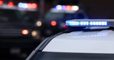 Florida man arrested after attempting to steal chemicals, calling in false school shooting