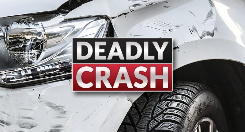 Florida man killed in Marion County tractor-trailer crash