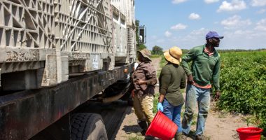 Florida protests, Senate hearing draw attention to impact of migrant farmworkers