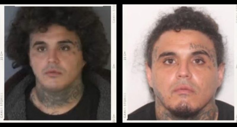 Green Cove police search for felon who removed ankle monitor