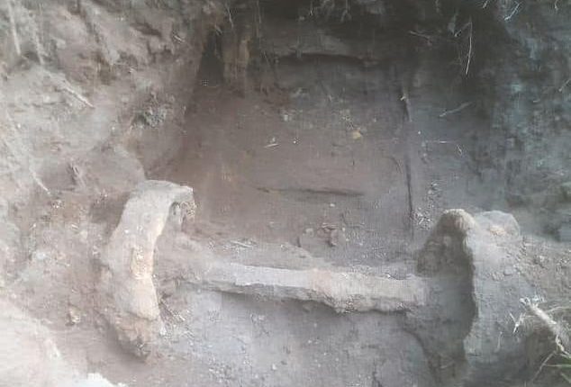 The hidden railway track and wagon wheels were discovered while digging at the Mamerki bunker complex in northern Poland