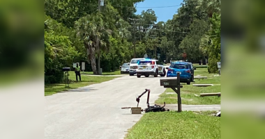 Homemade bomb found in Florida neighborhood, officials say