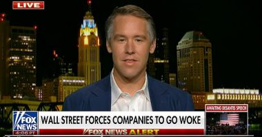 Anson Frericks, a co-founder of Strive Asset Management who previously spent a decade at Anheuser-Busch, blamed marketing controversies on institutional investors