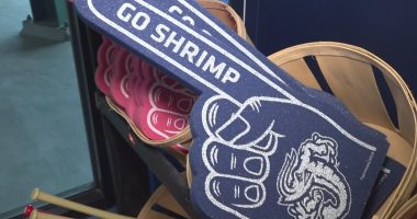 Jacksonville Jumbo Shrimp game postponed due to weather Friday night