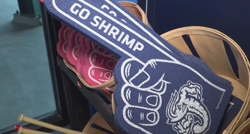 Jacksonville Jumbo Shrimp game postponed due to weather Friday night
