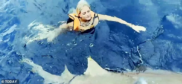 Ella Reed got ack in the water with sharks just a month after her viscous attack