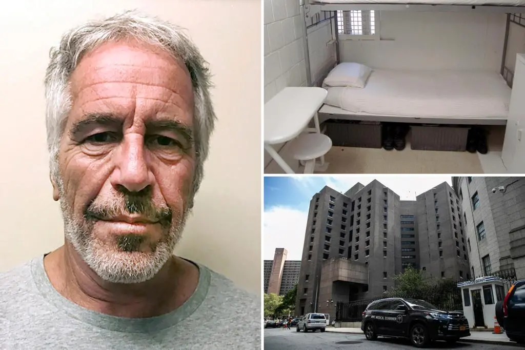 Jeffrey Epstein listed more than 10 sex partners, had STD