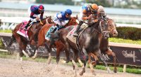 Late Odds, Best Bets, and What Angel of Empire, Tapit Trice and National Treasure Have To Do To Beat Forte