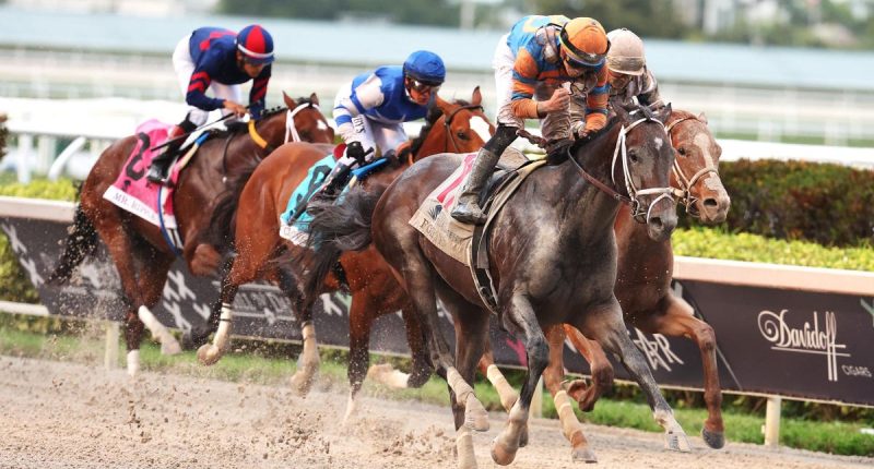 Late Odds, Best Bets, and What Angel of Empire, Tapit Trice and National Treasure Have To Do To Beat Forte