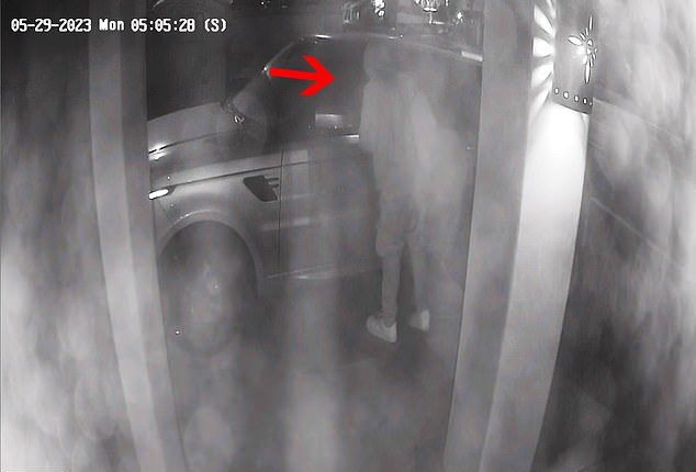 Thieves have vandalized dozens of luxury cars along Malibu's Pacific Coast Highway and left residents fearing for their safety