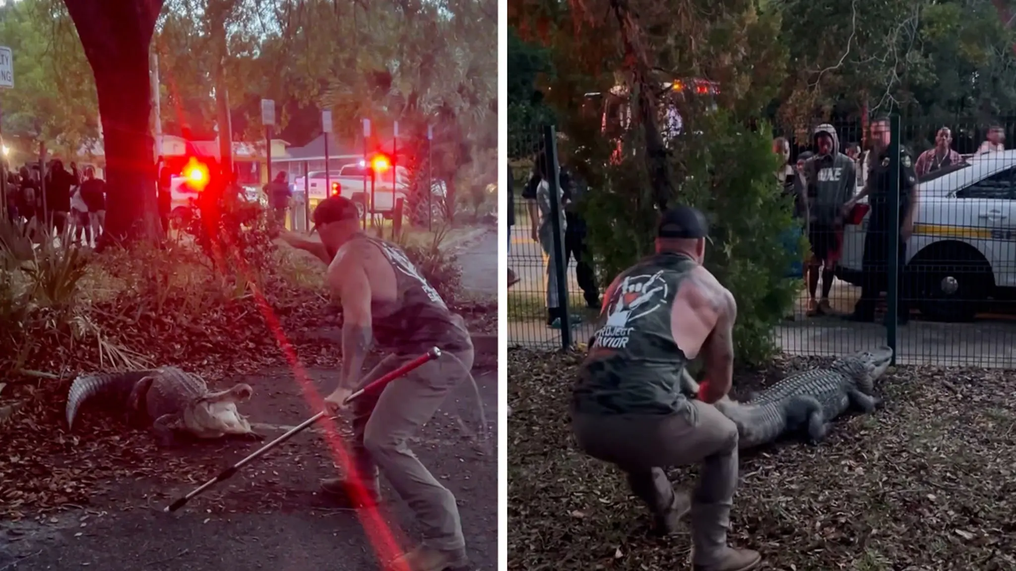 MMA Fighter Wrestles 10-Foot Alligator In Wild Scene Outside FL School