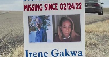 Minnesota office to investigate missing, murdered Black women