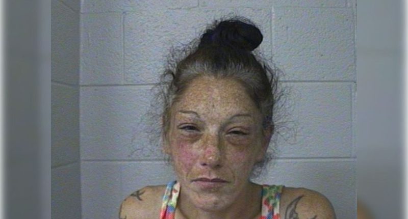 Mom of alleged Roadrunner killer arrested for meth | WJHL