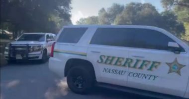 Nassau County Sheriff’s Office has a new tool to help inmates dealing with mental health needs