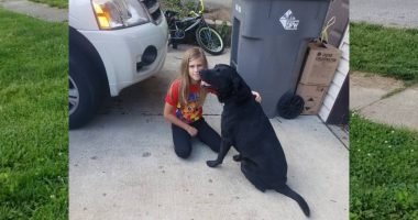No charges after man shoots child's service dog