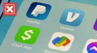 No, most payment apps are not federally insured